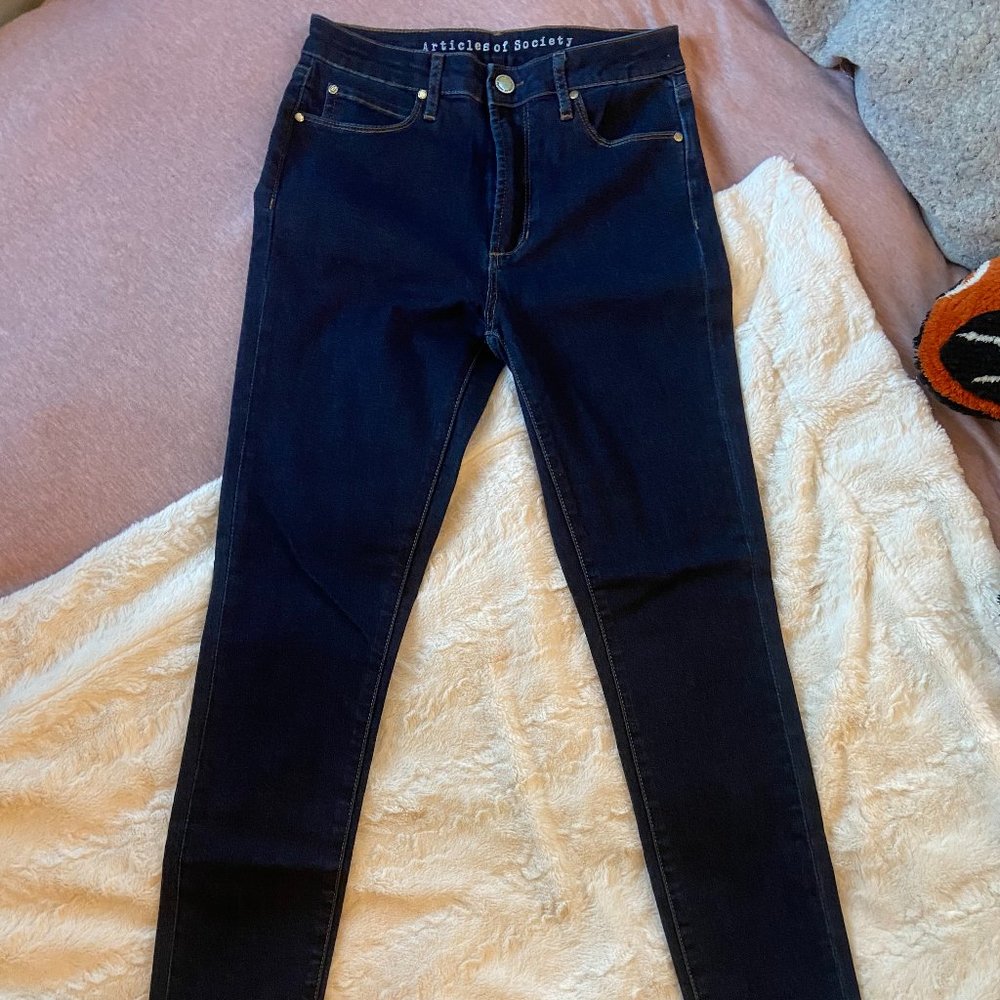 Articles Of Society Dark Wash Skinny Jeans